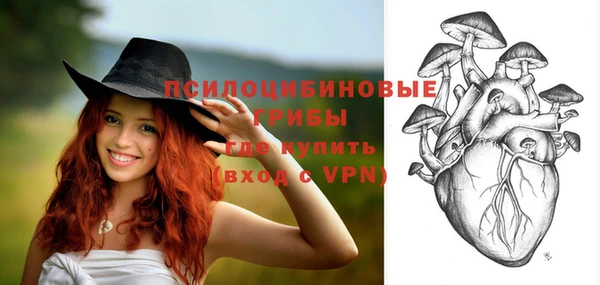 apvp Кодинск