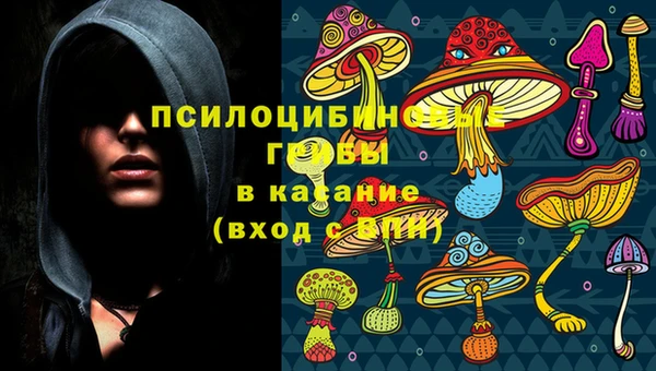 apvp Кодинск