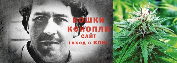 гашик Яранск