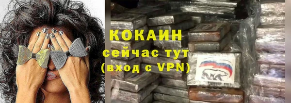 крисы Козловка