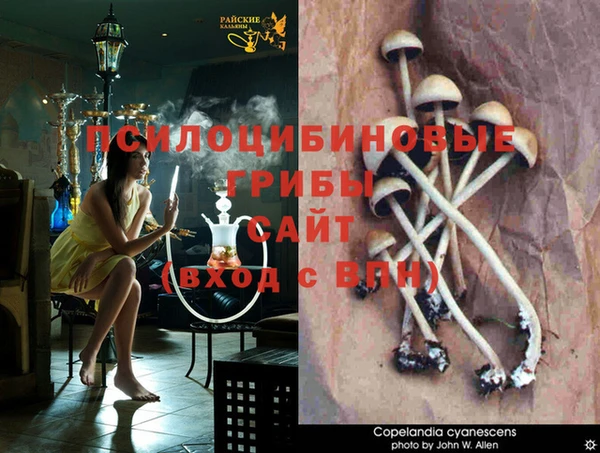 COCAINE Козельск