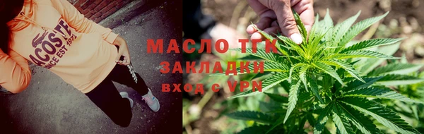 твердый Богданович