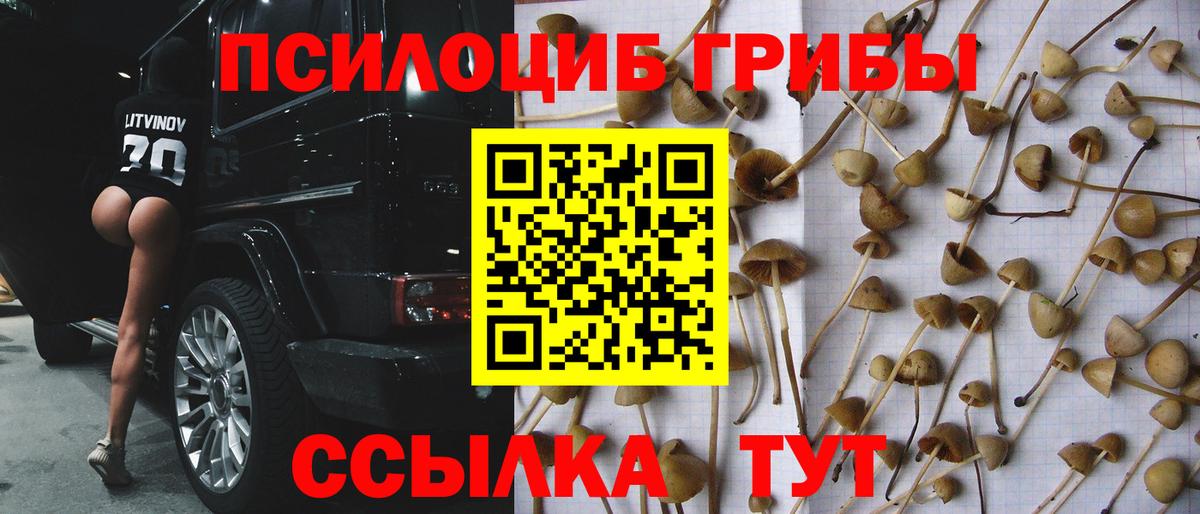 Улан-Удэ  Галлюциногенные грибы Psilocybe  Вход с VPN  Псилоцибиновые грибы MAGIC MUSHROOMS 