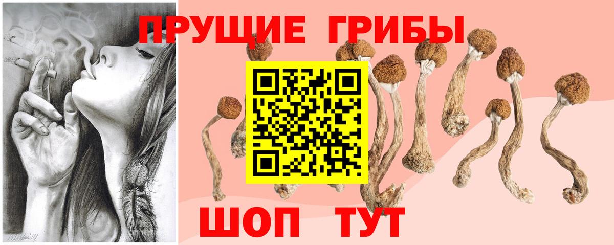 Псилоцибиновые грибы Magic Shrooms Улан-Удэ